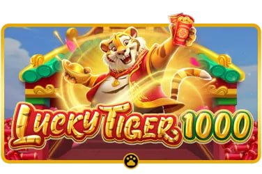 bmy77 Game Lobby showing slots and live casino categories on mobile